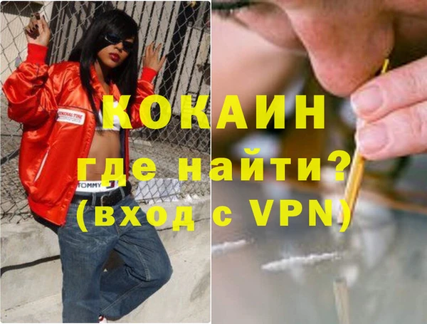 шишки Бородино