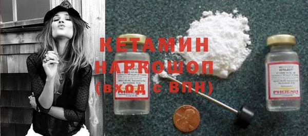 шишки Бородино